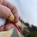 남도가스산업(주) | 따뜻한(?) 남쪽에서의 2022년 첫 라운드 보성cc