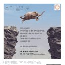 알렉산더테크닉자세;움직임교육센터