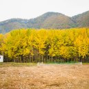 은행보건진료소 이미지