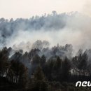 발화농장 이미지