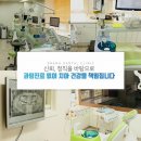 연신내치과의원 이미지