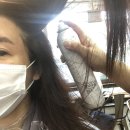 역삼동미용실 쓰담스타일을담다 뿌염 후기 / 쑥 디자이너
