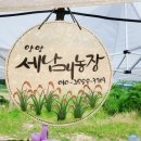 양양 세남매농장 떡볶이 이미지