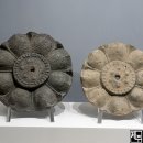 금마축산 이미지