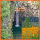 재인폭포공원 주차장 | [가을 인생샷 명소] 황금빛 황화 코스모스 꽃길 따라, 연천가볼만한곳 재인폭포 주상절리의 비경 속으로!