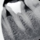 고은이치과의원 이미지