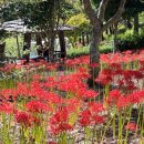 산림욕장 진입로 이미지