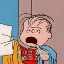 하늘보자기