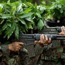 개운중학교 이미지