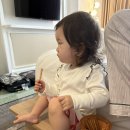 도아래쉬 | [하나투어 패키지여행 ] 22개월 아기랑 첫 해외여행! (인도네시아 마나도 3박5일)