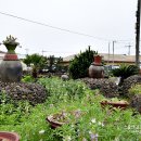 무릉도원올레 이미지