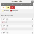 새빛 | 2025 수원화성 화서문 미디어아트 새빛향연 개막식 방문 후기 (관람시간, 관람석)
