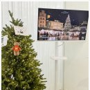 라인업 체형교정 이미지