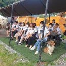 제갈선심리상담연구소