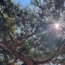 강원효장례문화원 이미지