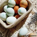 푸른들농장 이미지