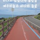 종달구경 이미지