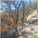원꽈배기 이미지
