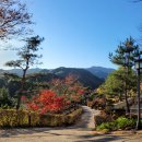 나도가수다 | 오로지 펜션 숙박 이벤트