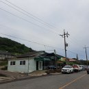 전남고흥회집