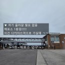 [26/일본] 다카마쓰 ~ 나오시마섬 페리 왕복 탑승 후기 (가격, 시간표)
