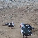 하늘바라기캠핑장 이미지