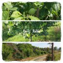 수촌농장 이미지