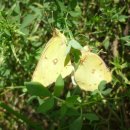 은빛유치원 이미지