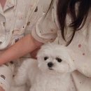 포레스트258 펜션 이미지