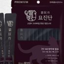 반려동물보감연구소 이미지