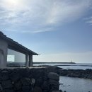 더 스테이 꽃님 이미지