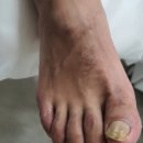 레푸스 태릉입구역 이미지