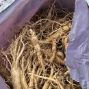 김정환농장 이미지