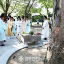 [영양군]제6회 일월산 도곡리 마을숲 축제 개최 이미지
