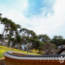 아라메길 (천년미소길) 이미지