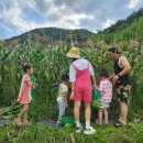 푸른농원민박 이미지