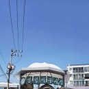 동강전망휴양림오토캠핑장 이미지