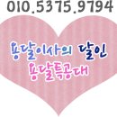 용달특공대