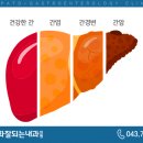 소화잘되는내과의원 이미지