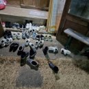 삼미상회 이미지