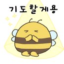 삼화초등학교 이미지