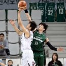 상자포