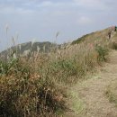 꿈의궁전 이미지