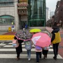 구.강동초 이미지