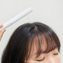 정수리 잔머리 픽서 추천 하움 카라