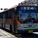 남호그린아파트앞 이미지