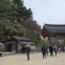 등너머약수터 | 경주 석굴암 주차 소요시간 총정리 (경주여행 필수코스)