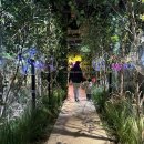 시즌아이PC방 동탄2신도시점 | 네이처스케이프 플러스 동탄 가볼만한 곳 대형 키즈카페 실내놀이터 추천