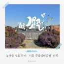 갯골생태공원(인포센터) | 늦가을 쉼표 하나, '시흥 갯골생태공원' 갈대밭 산책