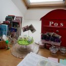 토마토 민박 이미지